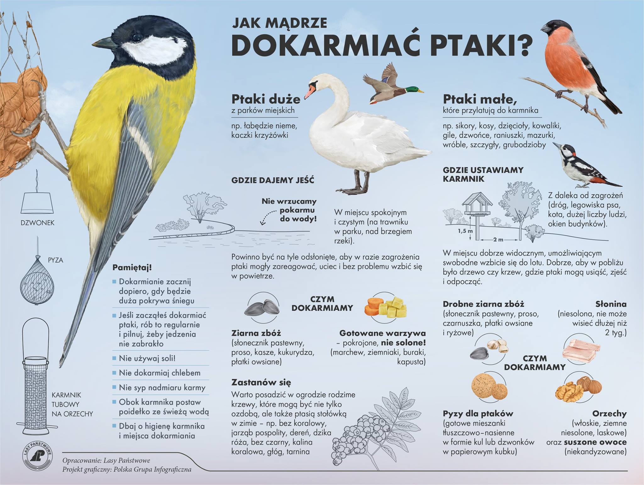 Zdjęcie przedstawia ptaki oraz informacje czym można je dokarmiać