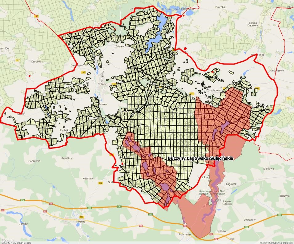 Mapa przedstawia obszary Natura 2000 na terenie Nadleśnictwa Sulęcin