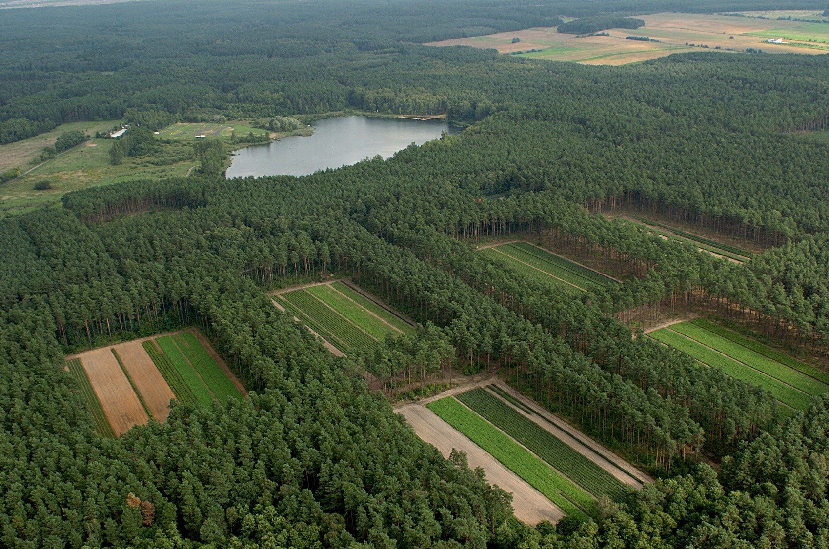 Zdjęcie zrobione z lotu ptaka przedstawia kwatery na szkółce leśnej oraz okoliczne lasy i jezioro