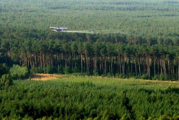Samolot&#x20;opryskujący&#x20;lasy