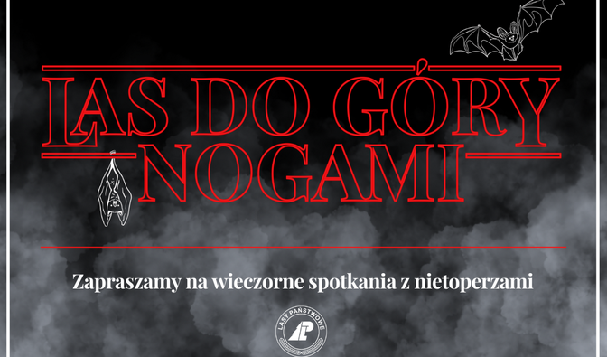 Las&#x20;do&#x20;góry&#x20;nogami