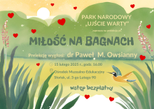 Park Narodowy „Ujście Warty” zaprasza na kolejne wieczorne spotkanie pt. „Miłość na bagnach”