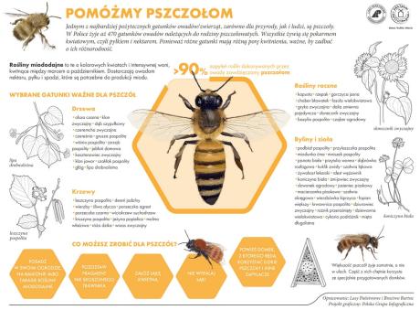 20 maja - ŚWIATOWY DZIEŃ PSZCZÓŁ