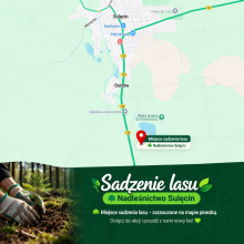 Dołącz do wspólnego sadzenia lasu!
