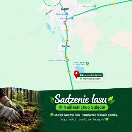 Dołącz do wspólnego sadzenia lasu!